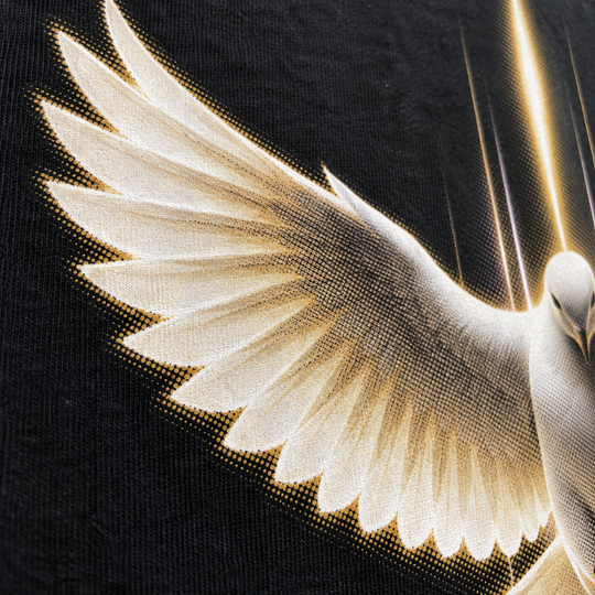 Camiseta gospel Poder do Espírito Santo | Estampa cristã em DTF